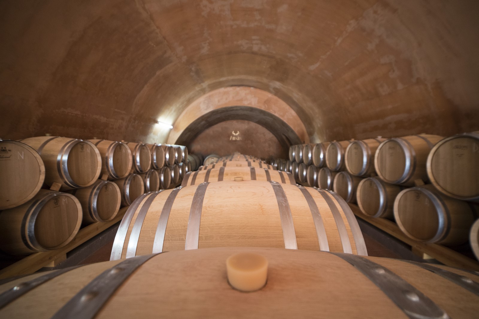 Ausas Bodegas y Viñedos, S.L.U.