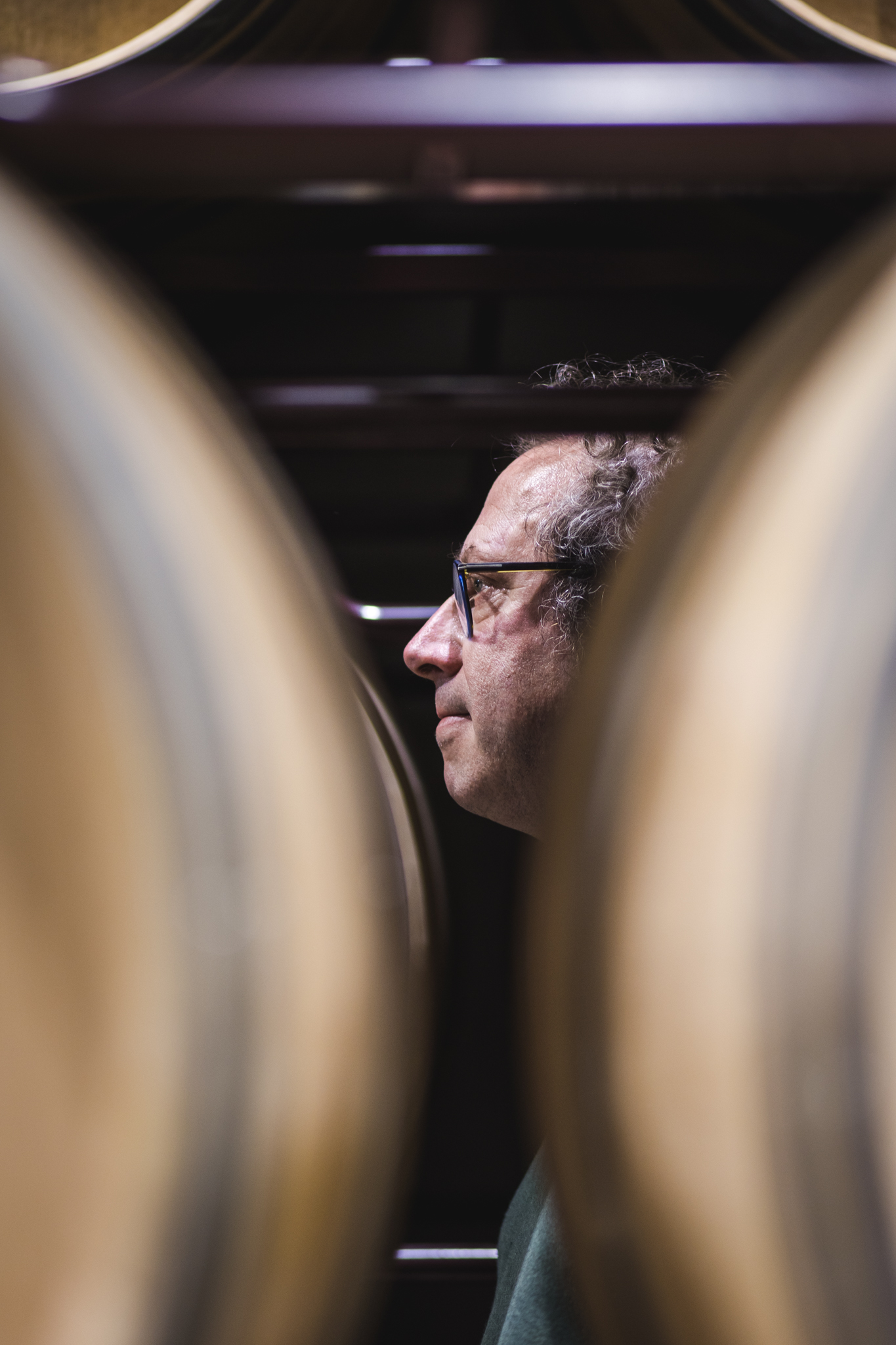 Bodegas Antidoto, S.L.