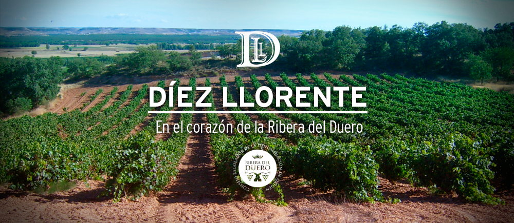 Bodegas Diez Llorente, S.L.