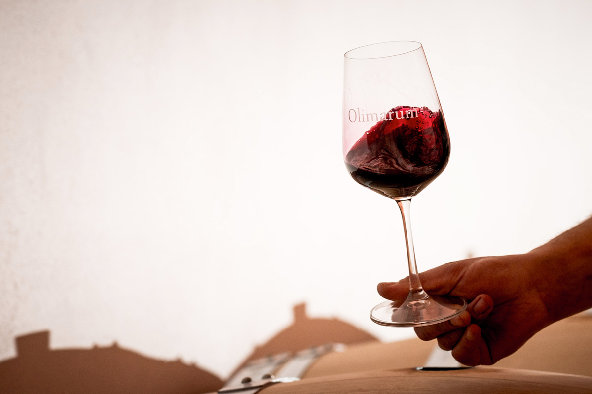 Bodegas Olimarum, S.L.