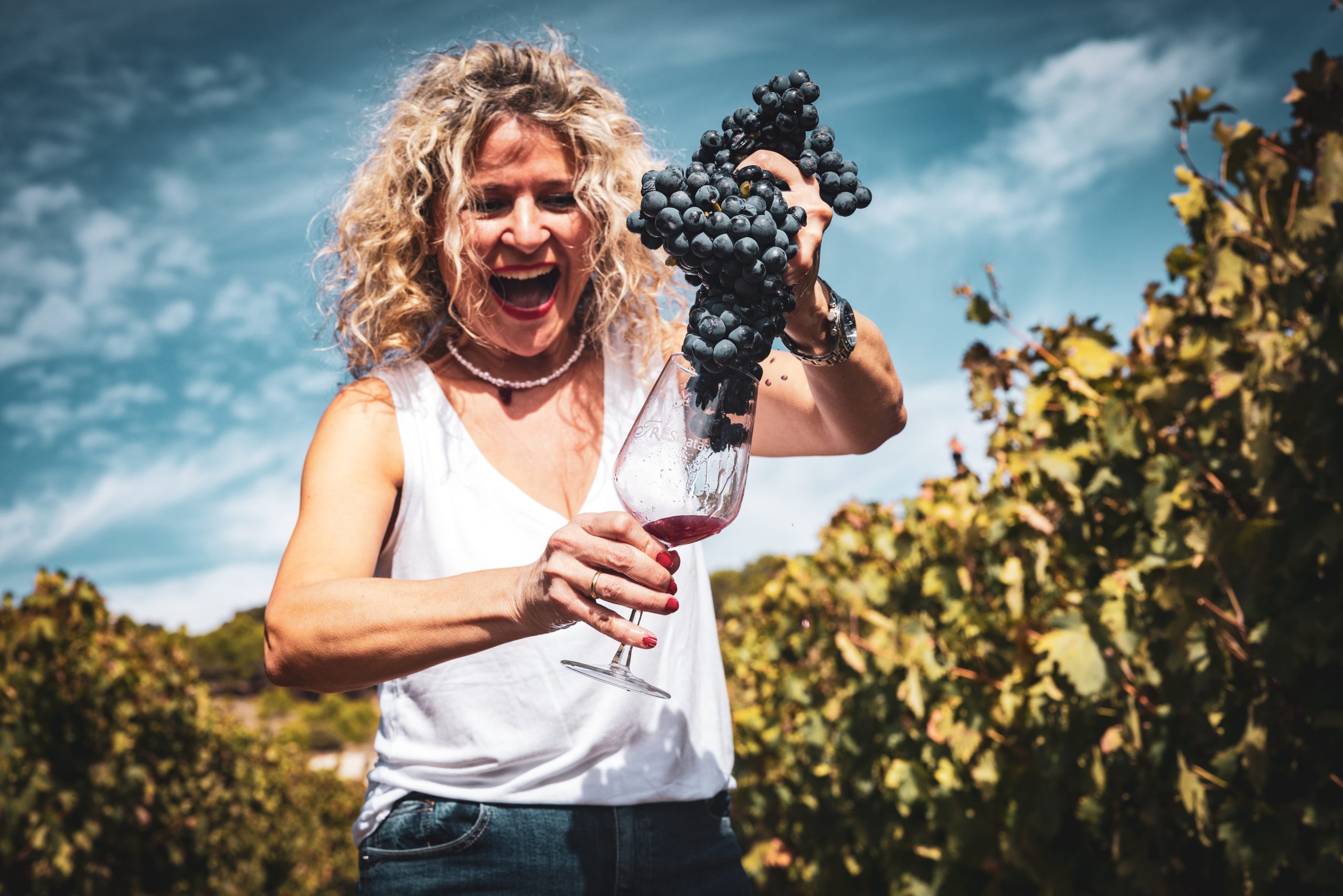Bodegas Vega de Yuso