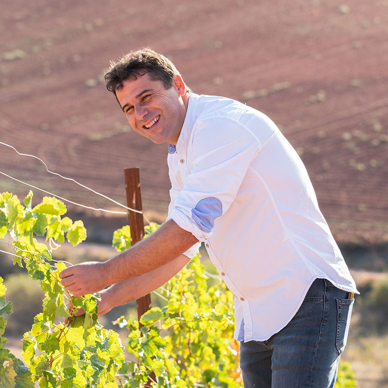 Bodegas Vetusta