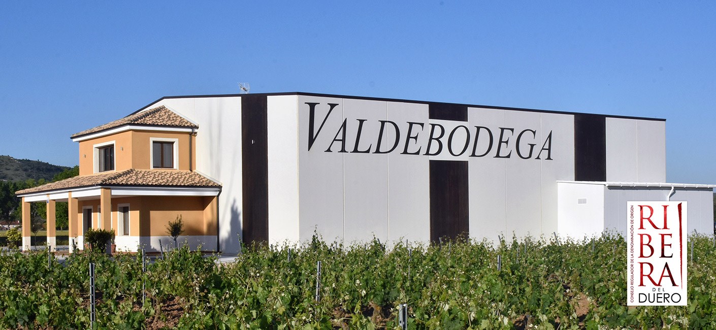 Bodegas y Viñedos Valdebodega, S.L.