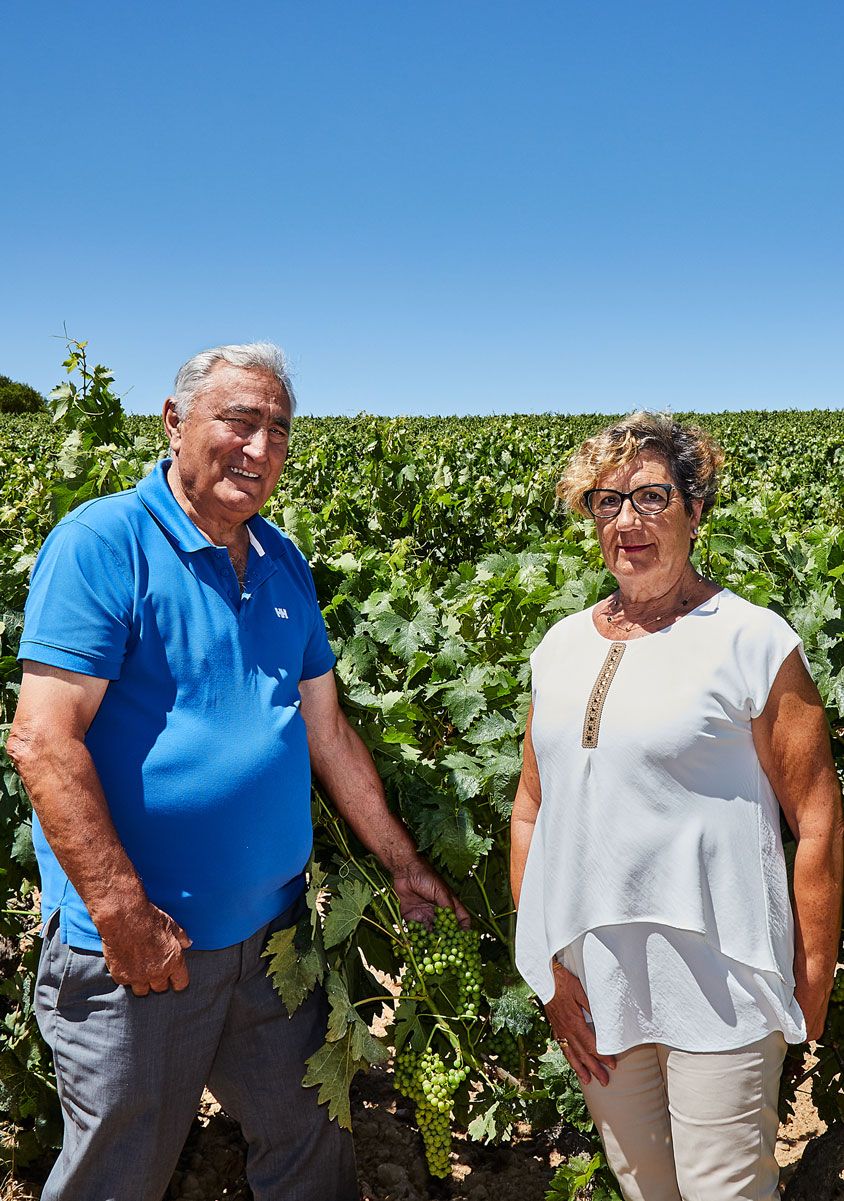 Bodegas y Viñedos Valderiz, S.L.