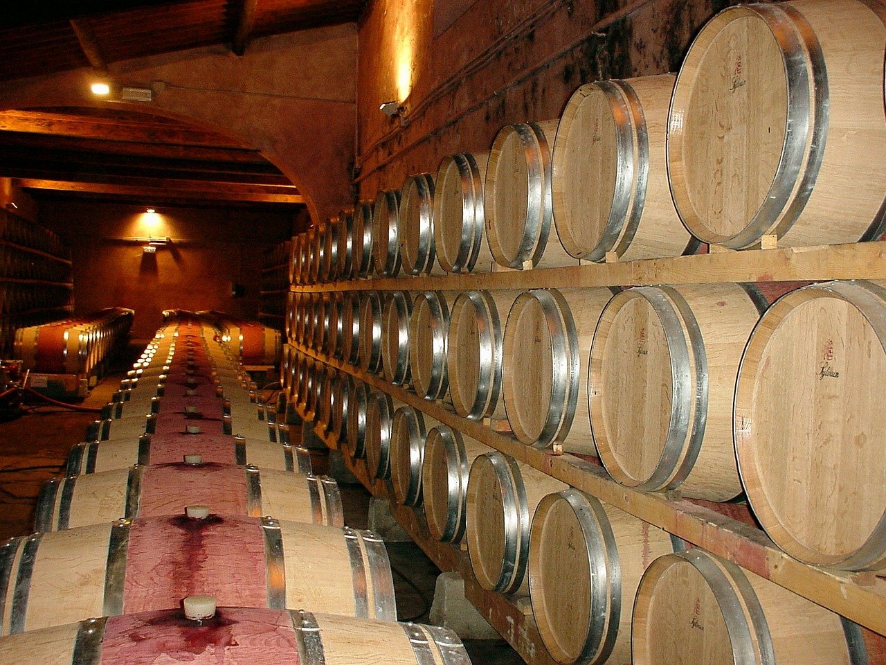 Cepas de Castilla, S.L.U.