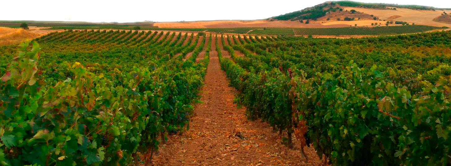 Laderas de Valverde, S.L.