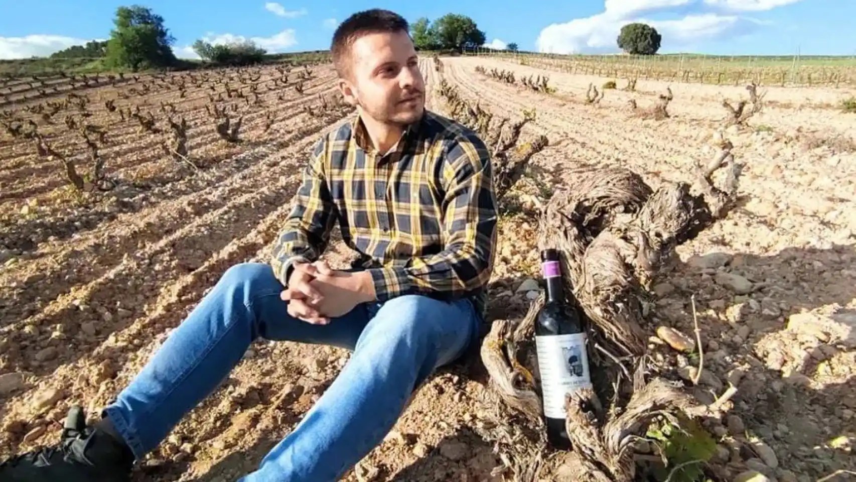 Vitivinícola de Valbuena, S.L.