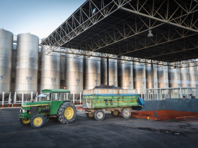 Bodegas BSI