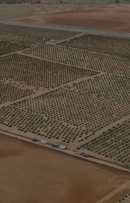 Bodega Numanthia