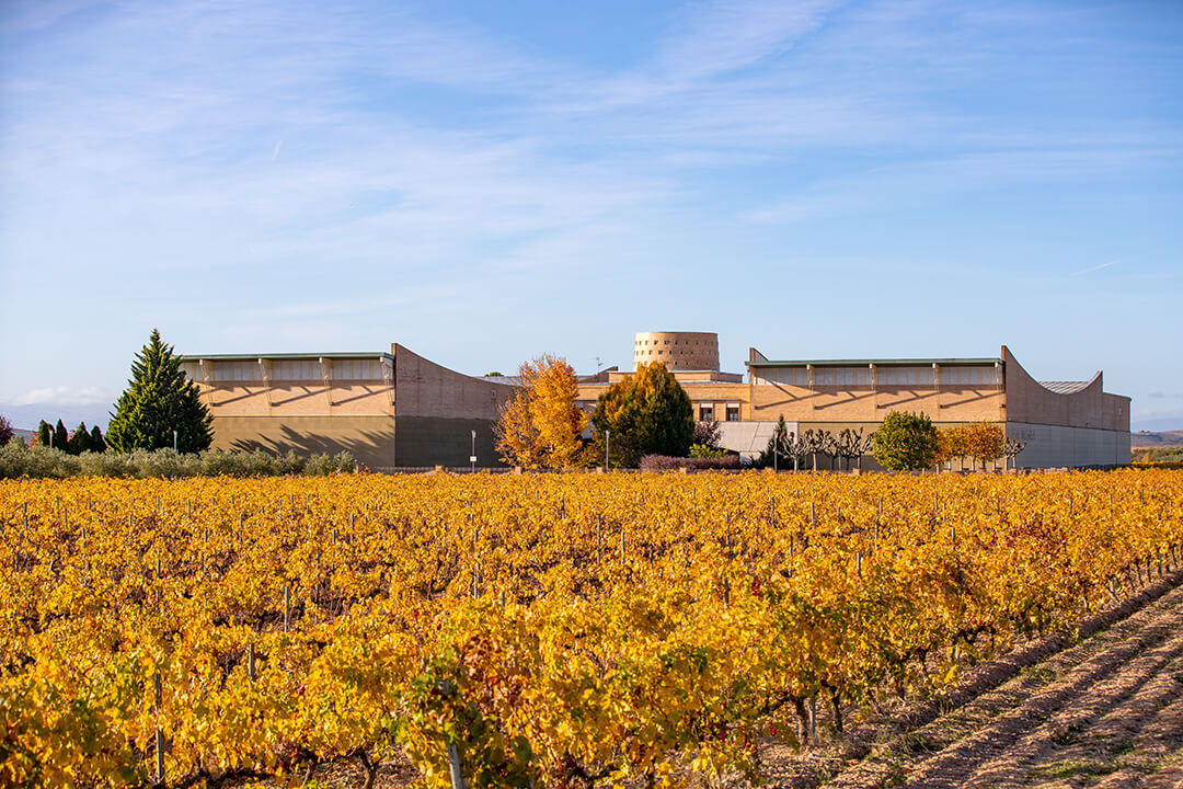 Bodegas Valcarlos