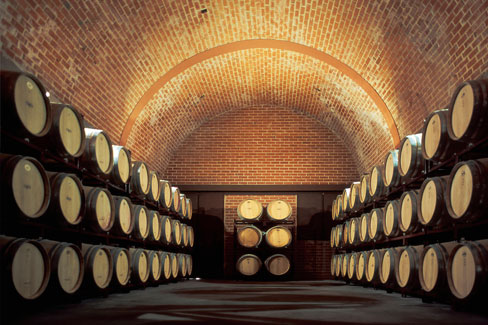 Bodega Cyan