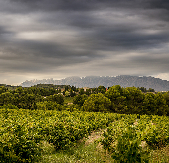 Finca Espiells