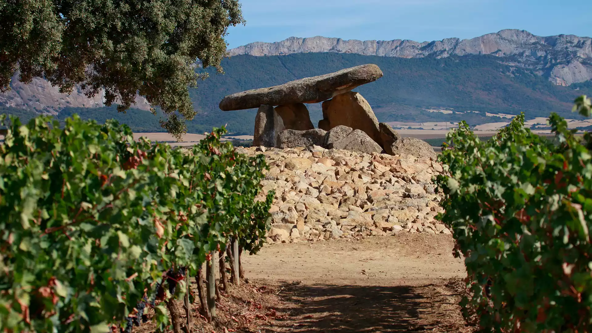 Bodegas Orube