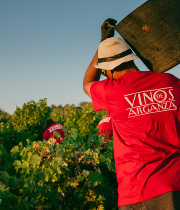 Vinos de Arganza, S.L