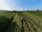 Rebschule & Weingut Burger