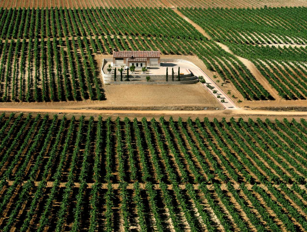 Bodegas Frontaura S.L.U.