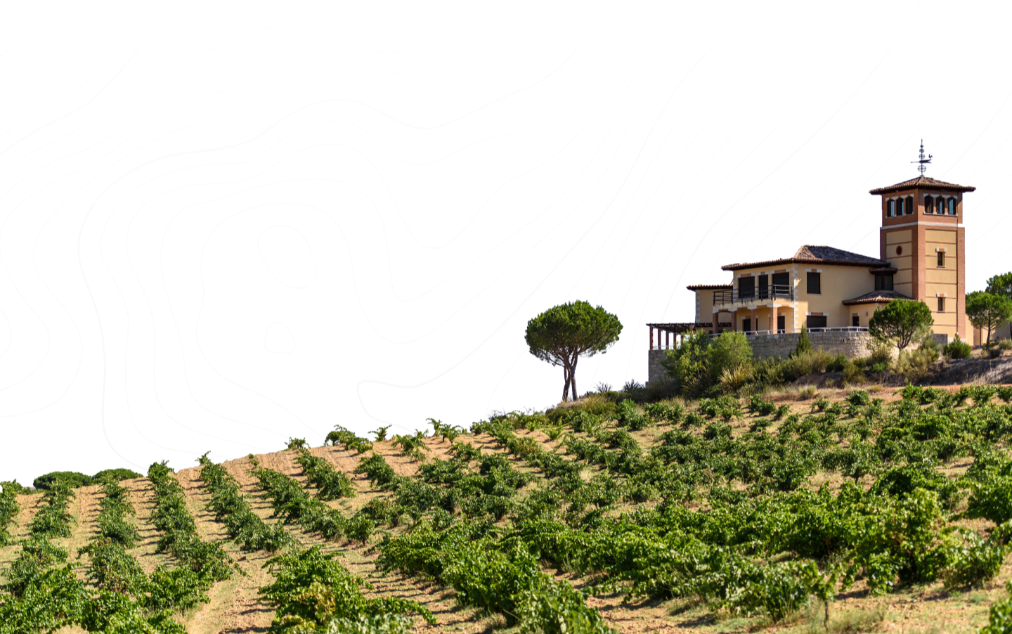 Bodegas Piedra