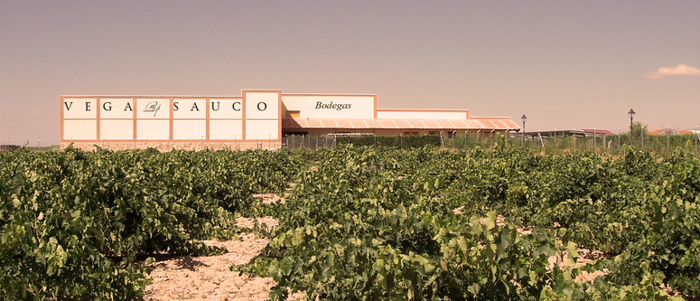 Bodegas Vega Sauco