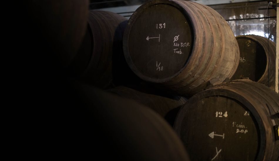 Bodegas Halcón