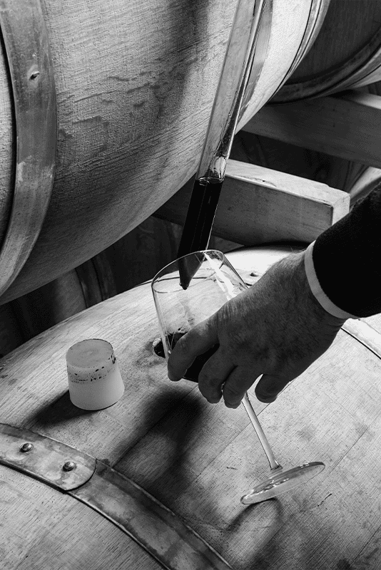 Bodegas Delampa