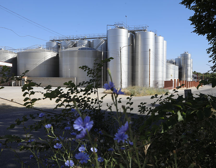 Bodegas San Dionisio