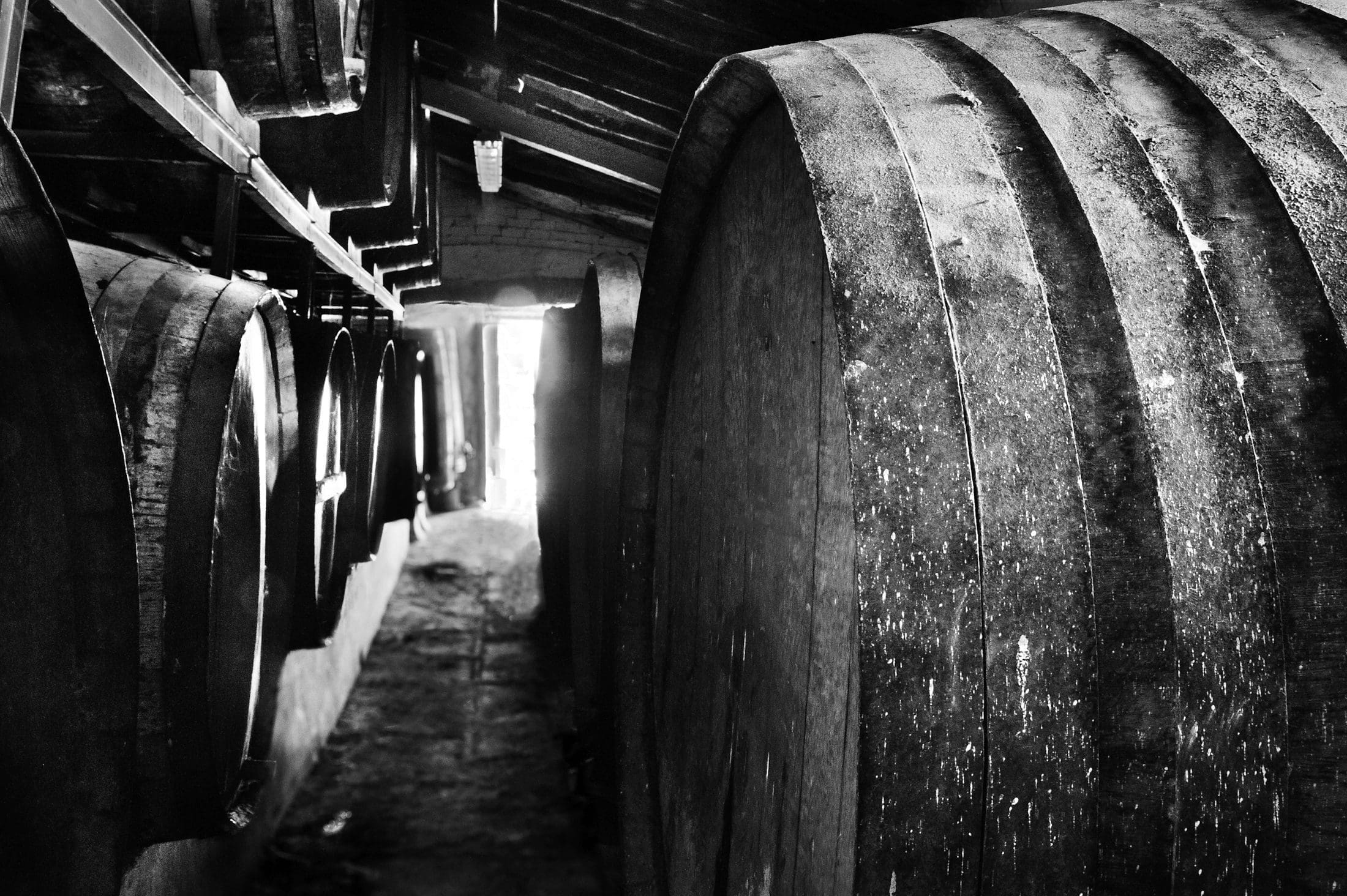 Bodegas Viña Elena