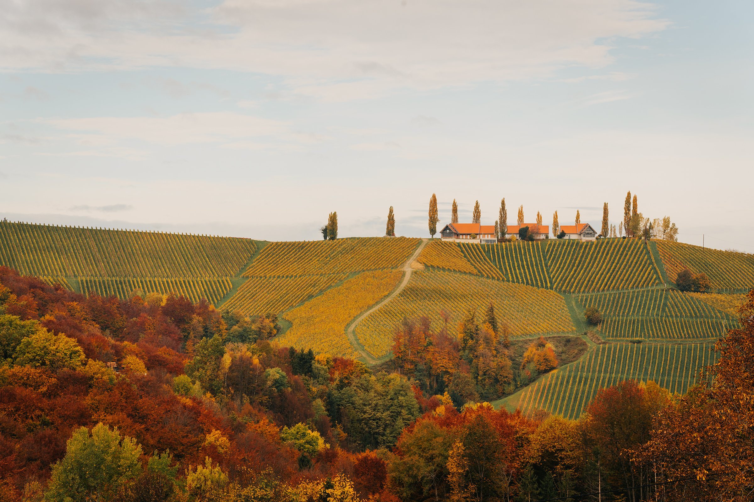 Muster.gamlitz / Domaine 1196