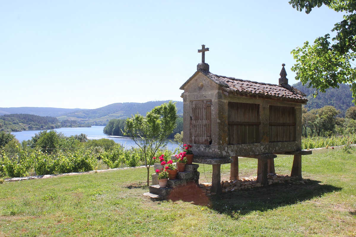 Dominio de Razamonde