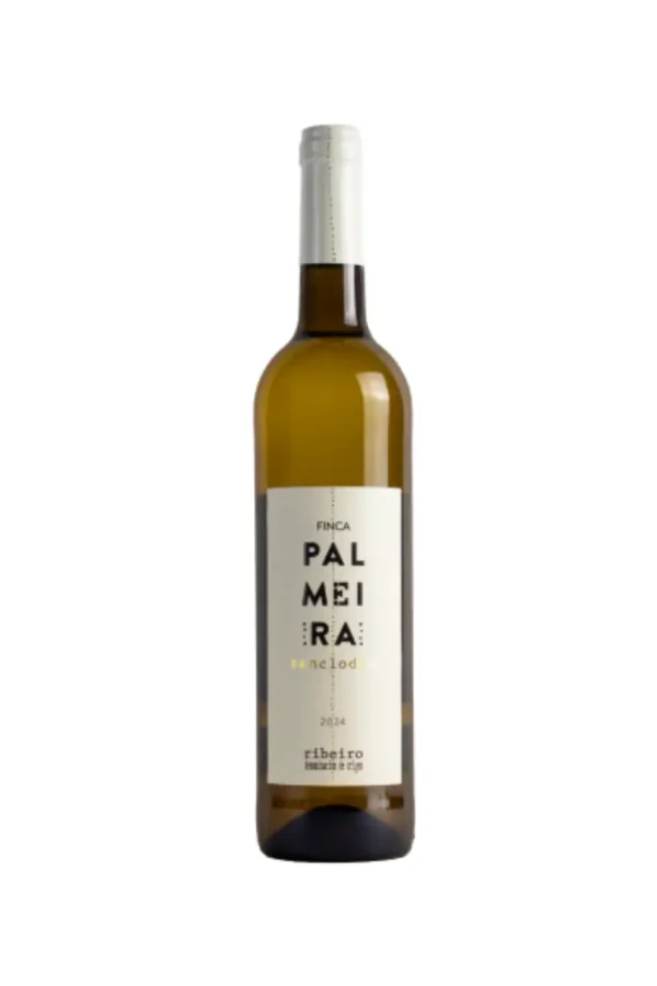 Bodega Sanclodio
