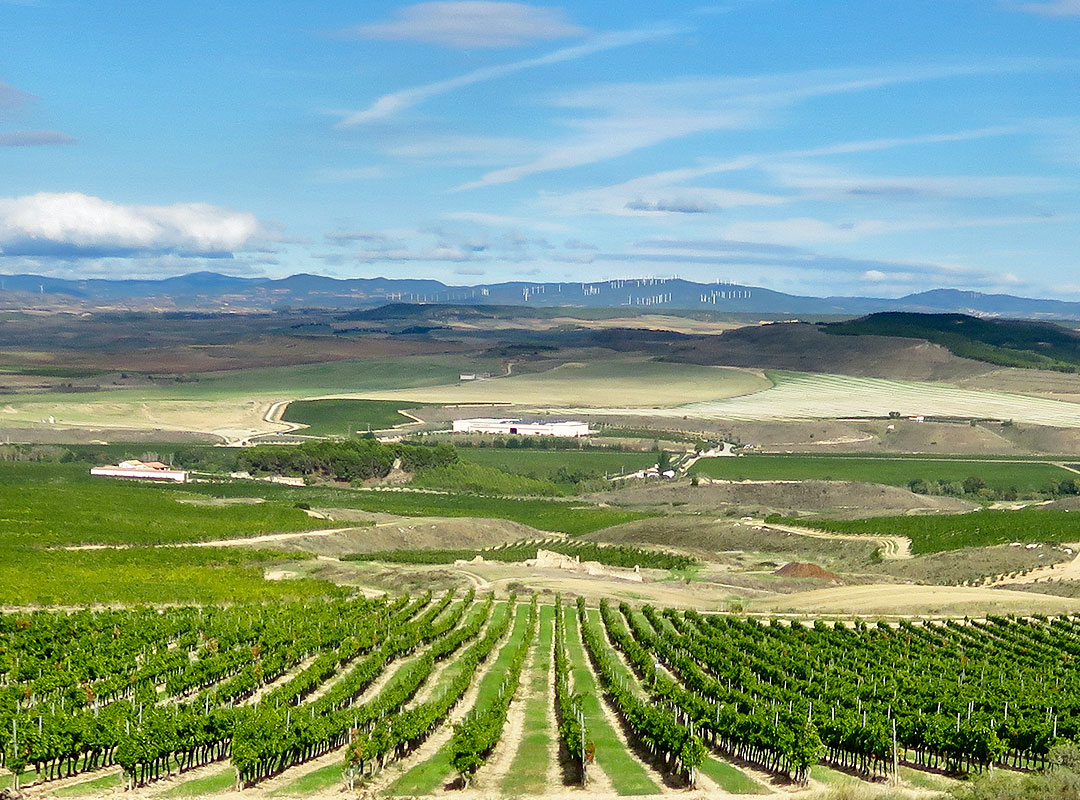 Bodega Inurrieta
