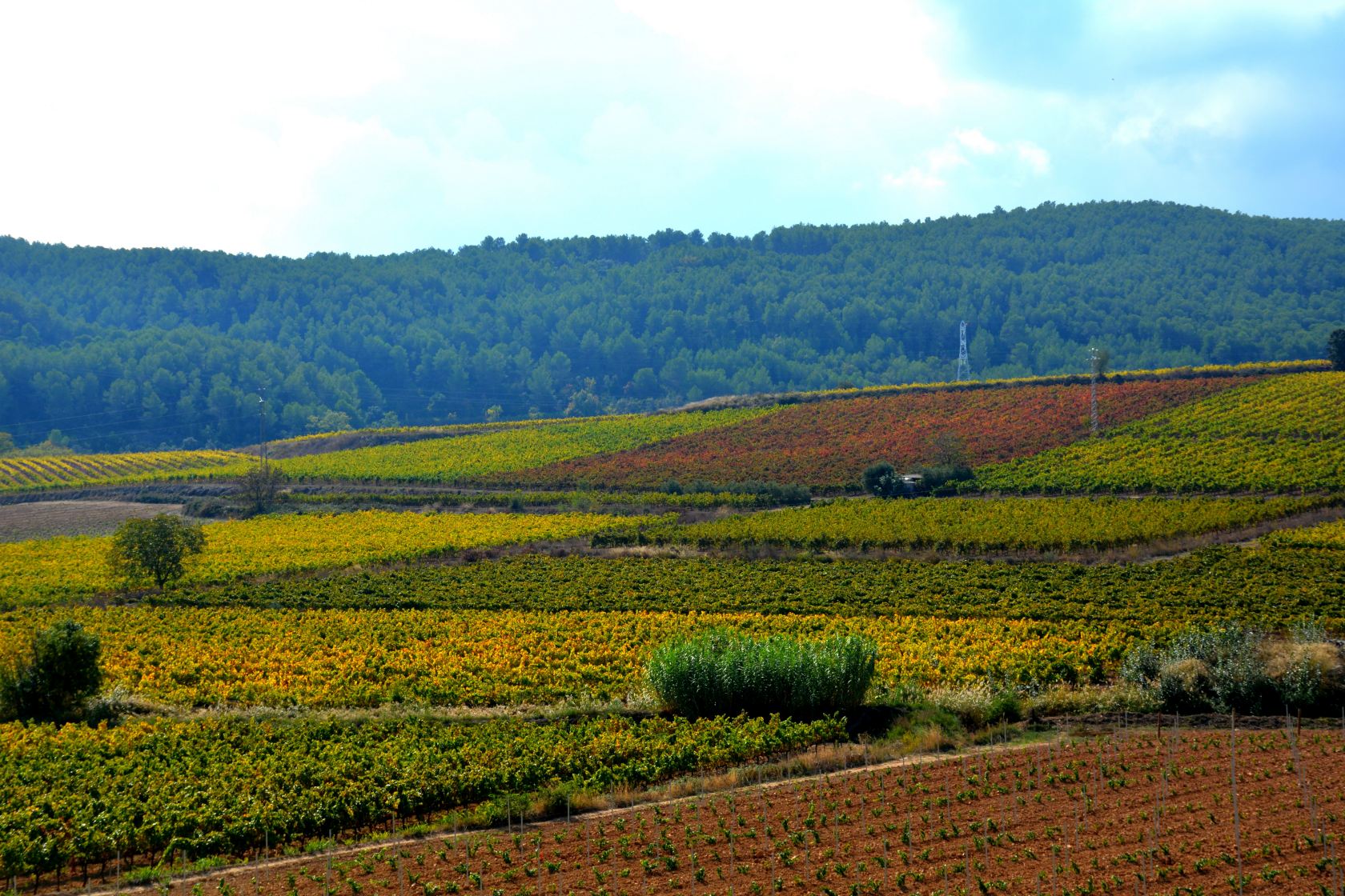Can Vallès