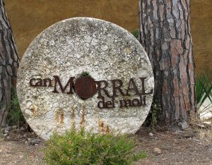 Celler Can Morral del Moli