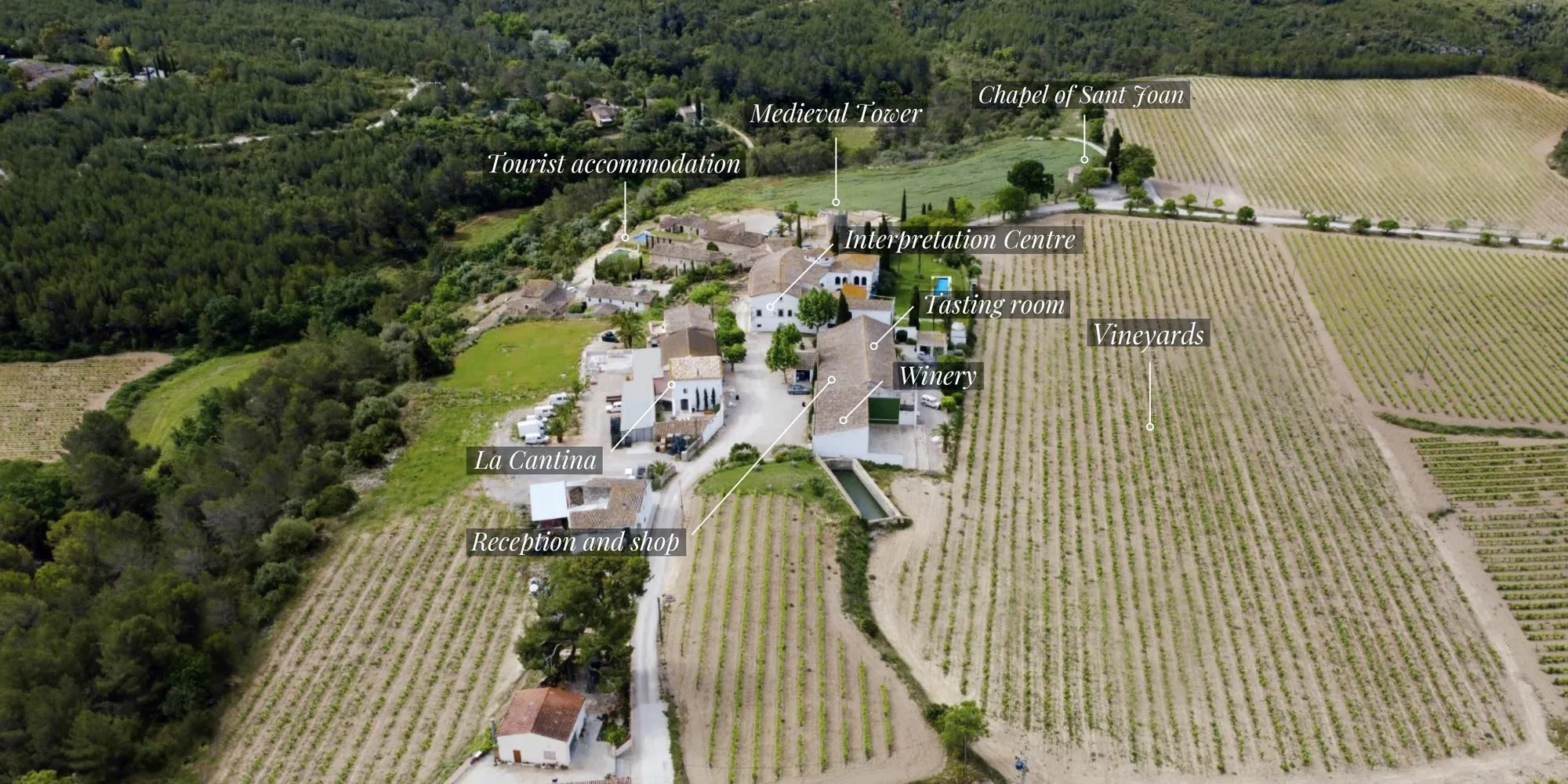 Finca Viladellops