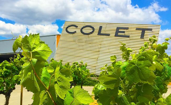 Colet