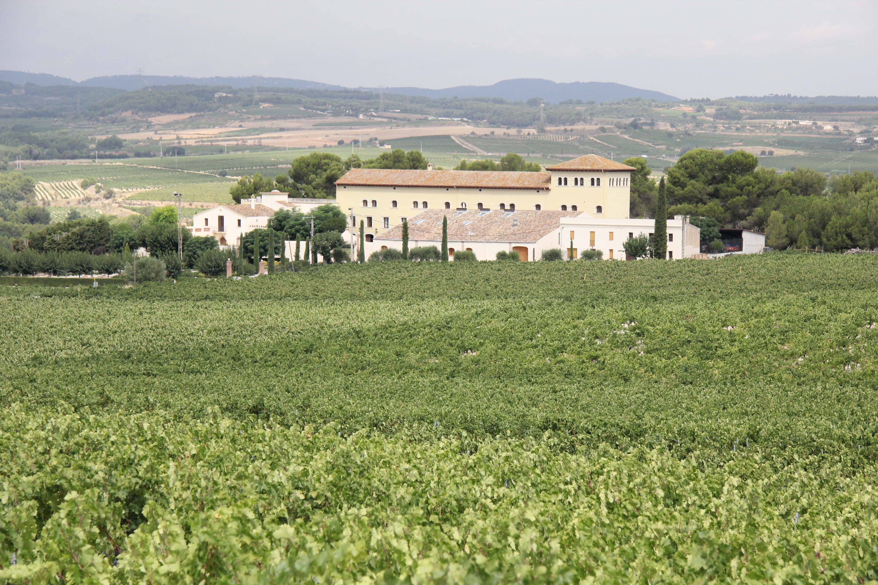 Carles de Lavern