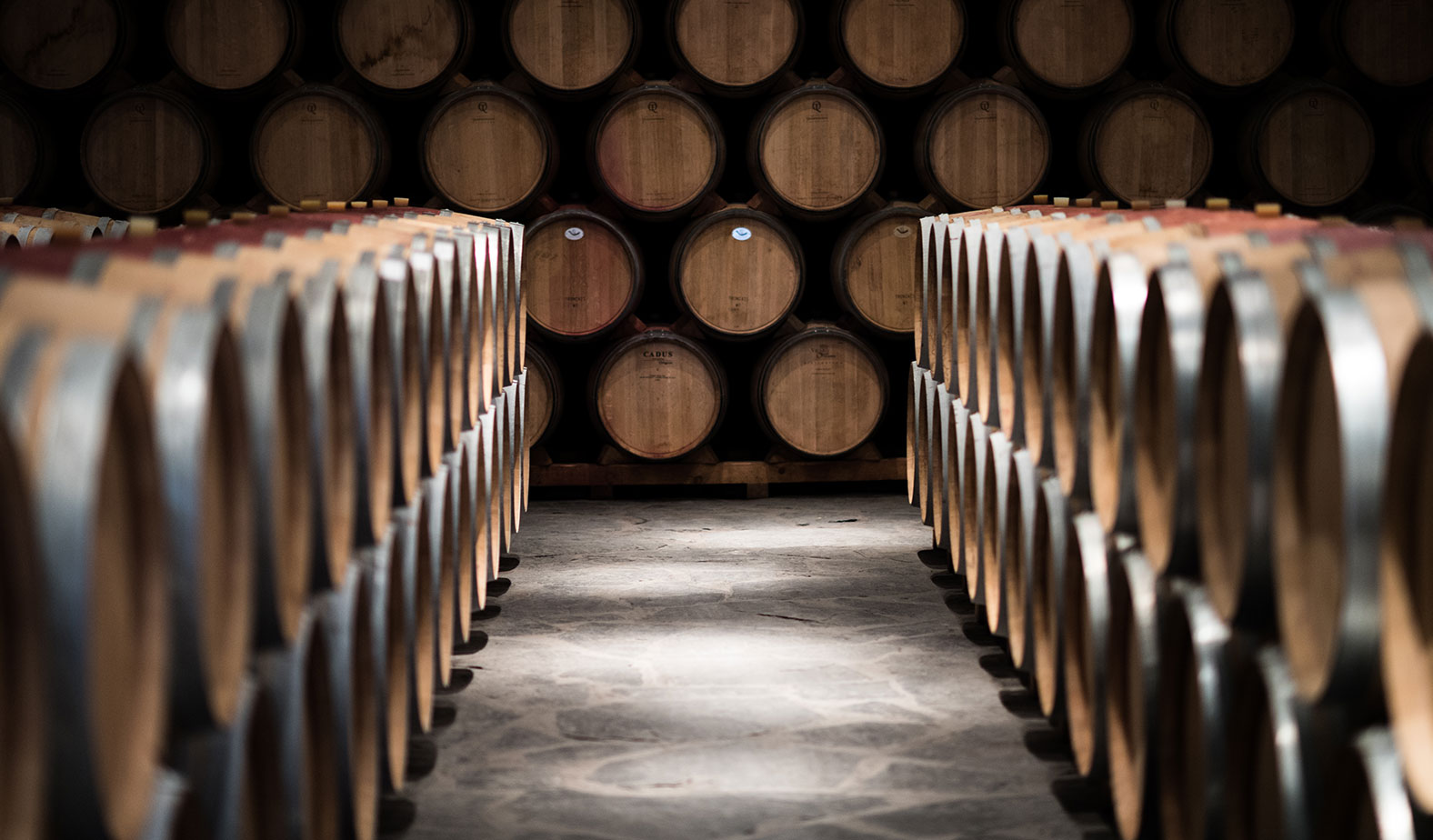 Bodega Pago de Cirsus