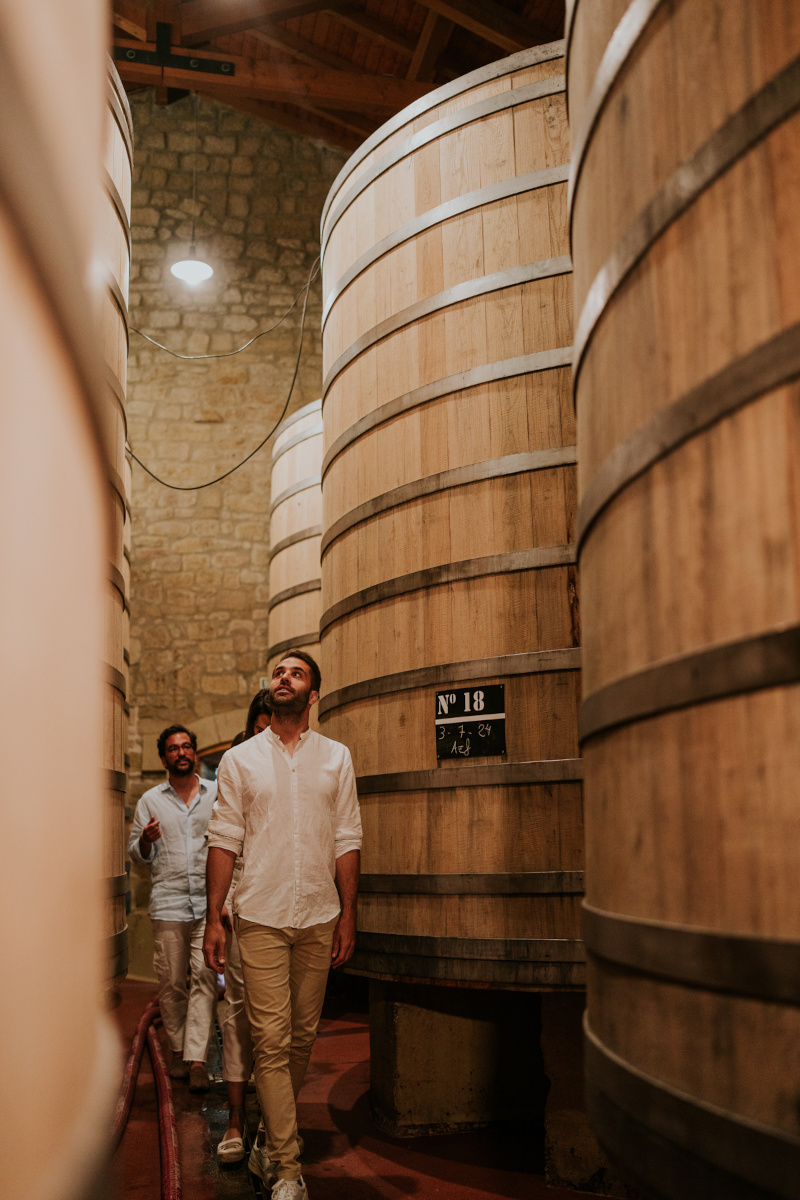 Bodegas Muga