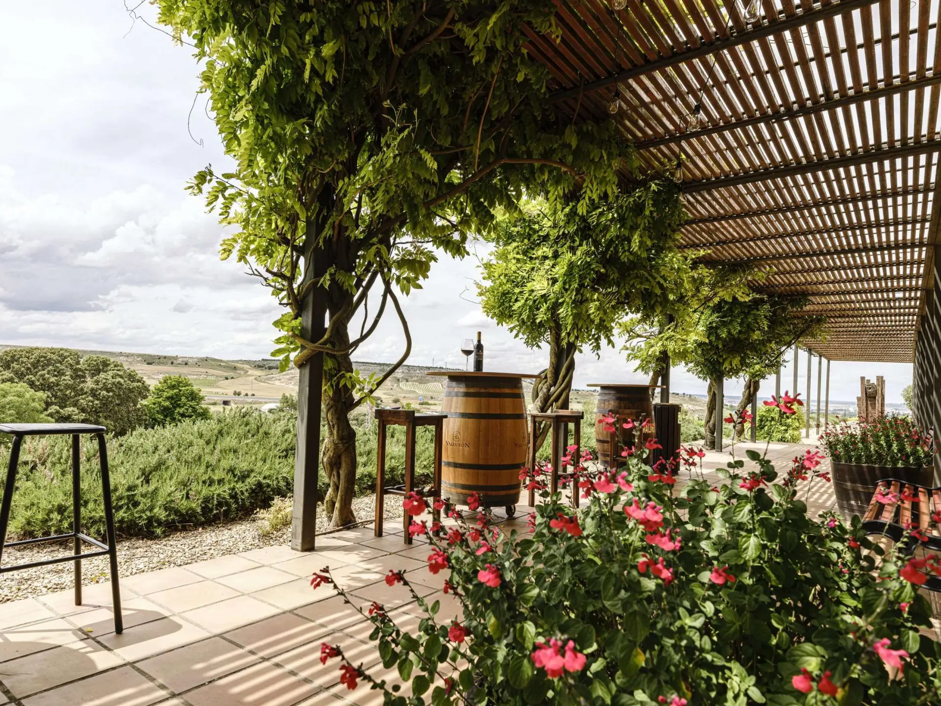 Ferrer Wines Group
