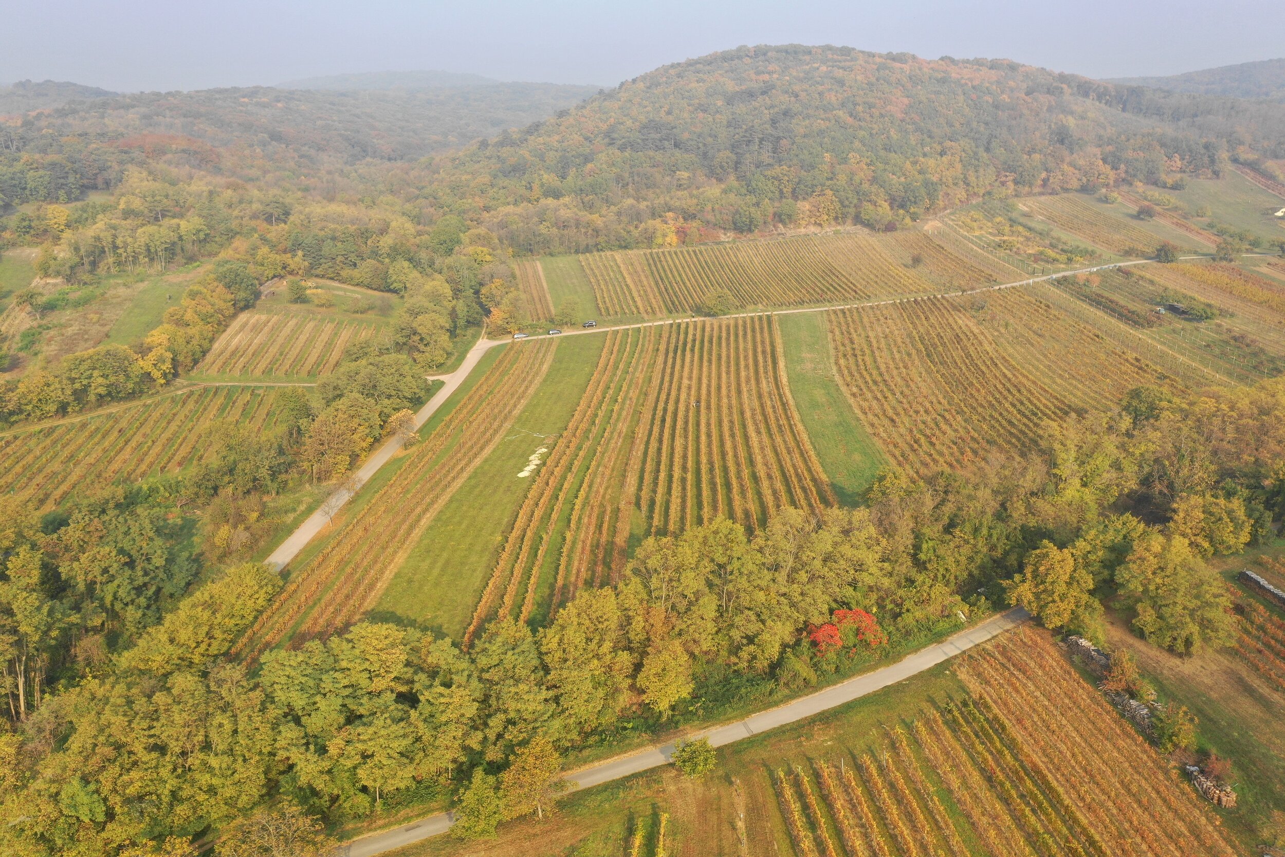 Helden der Weinberge GesbR