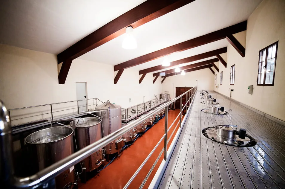 Bodegas y viñedos Illana, Finca Buenavista