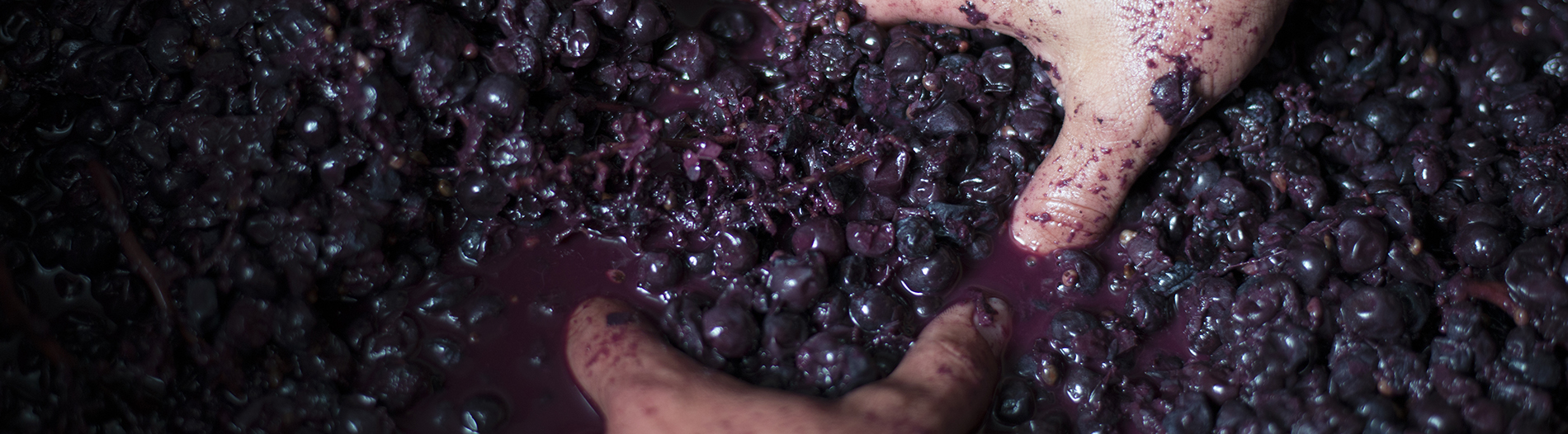Bodegas Bastida