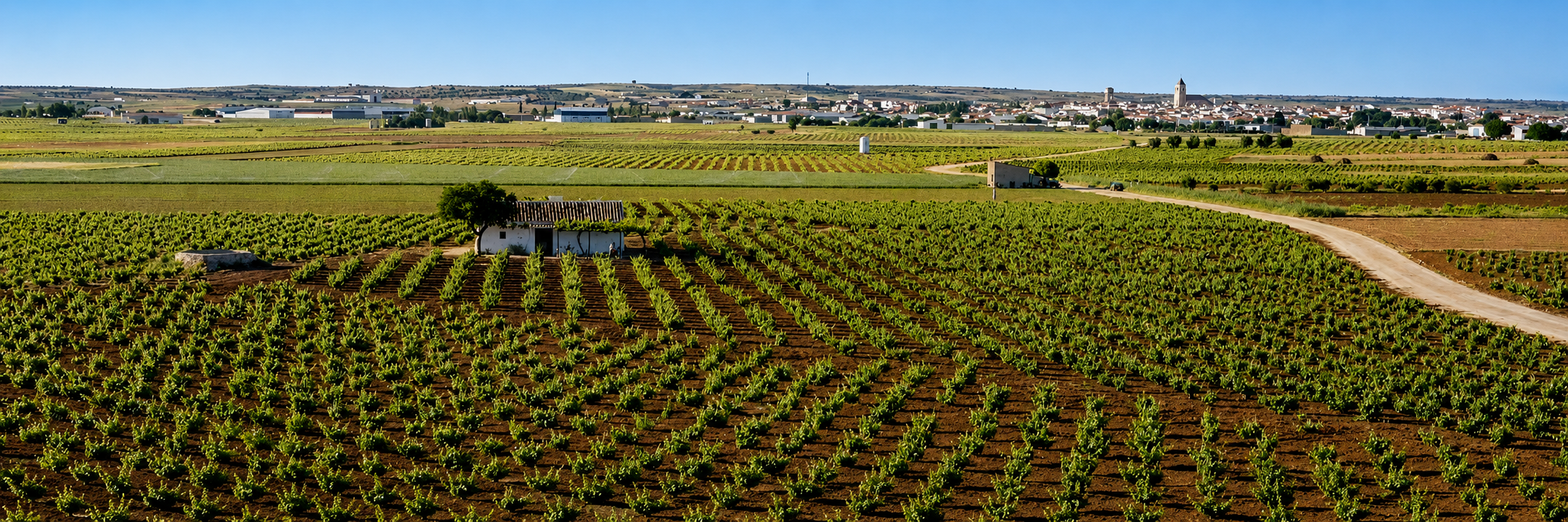Bodegas Pedroheras