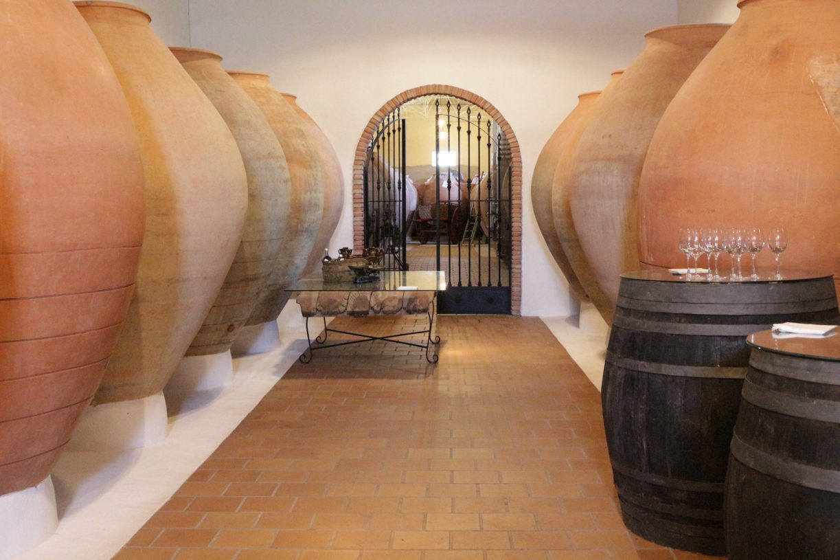 Bodegas César Velasco