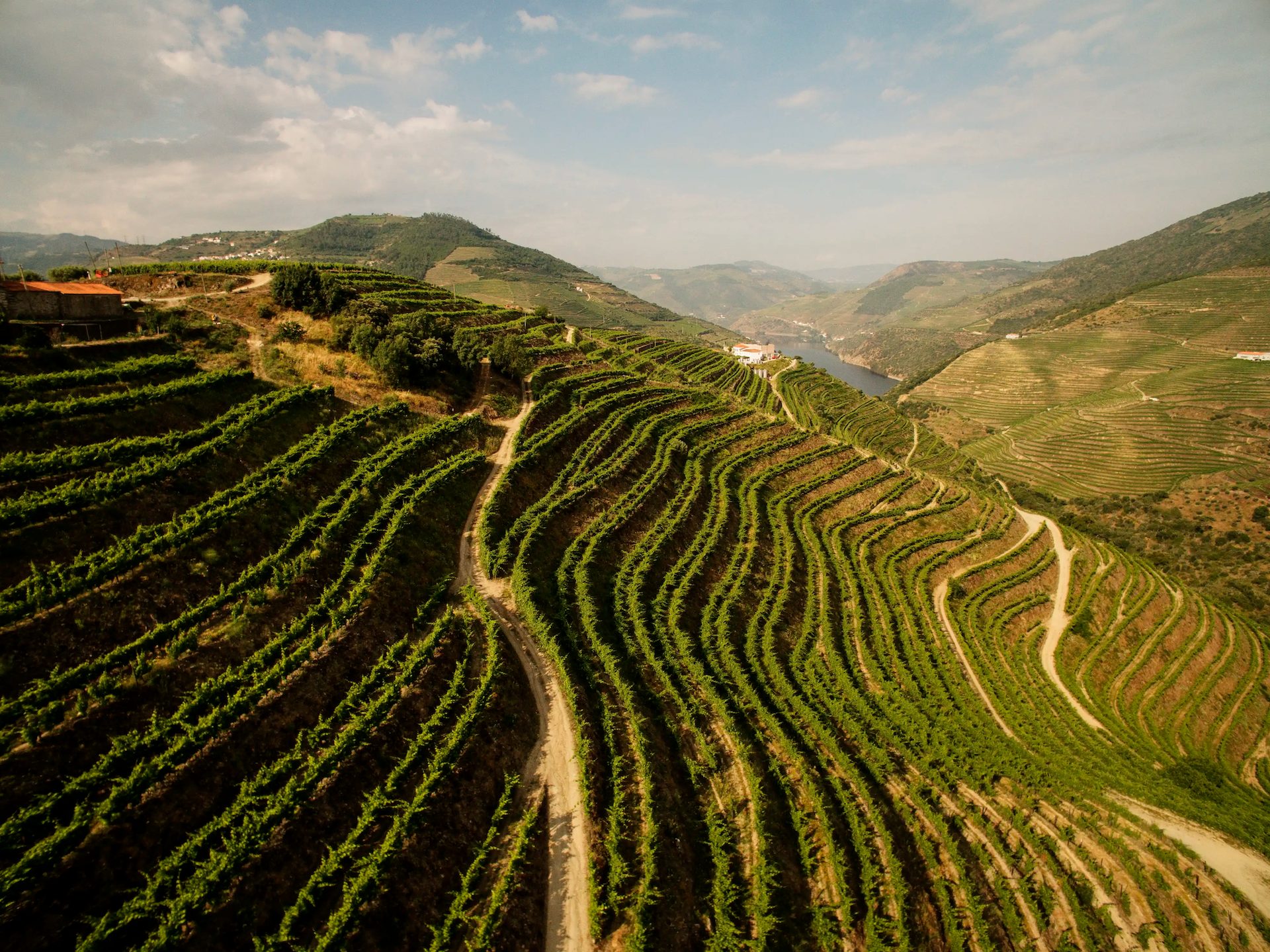 Menin Wine Company