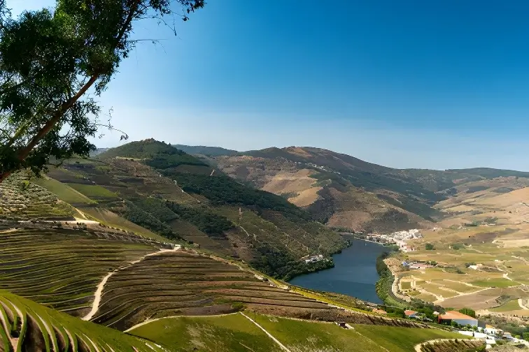 Quinta das Carvalhas