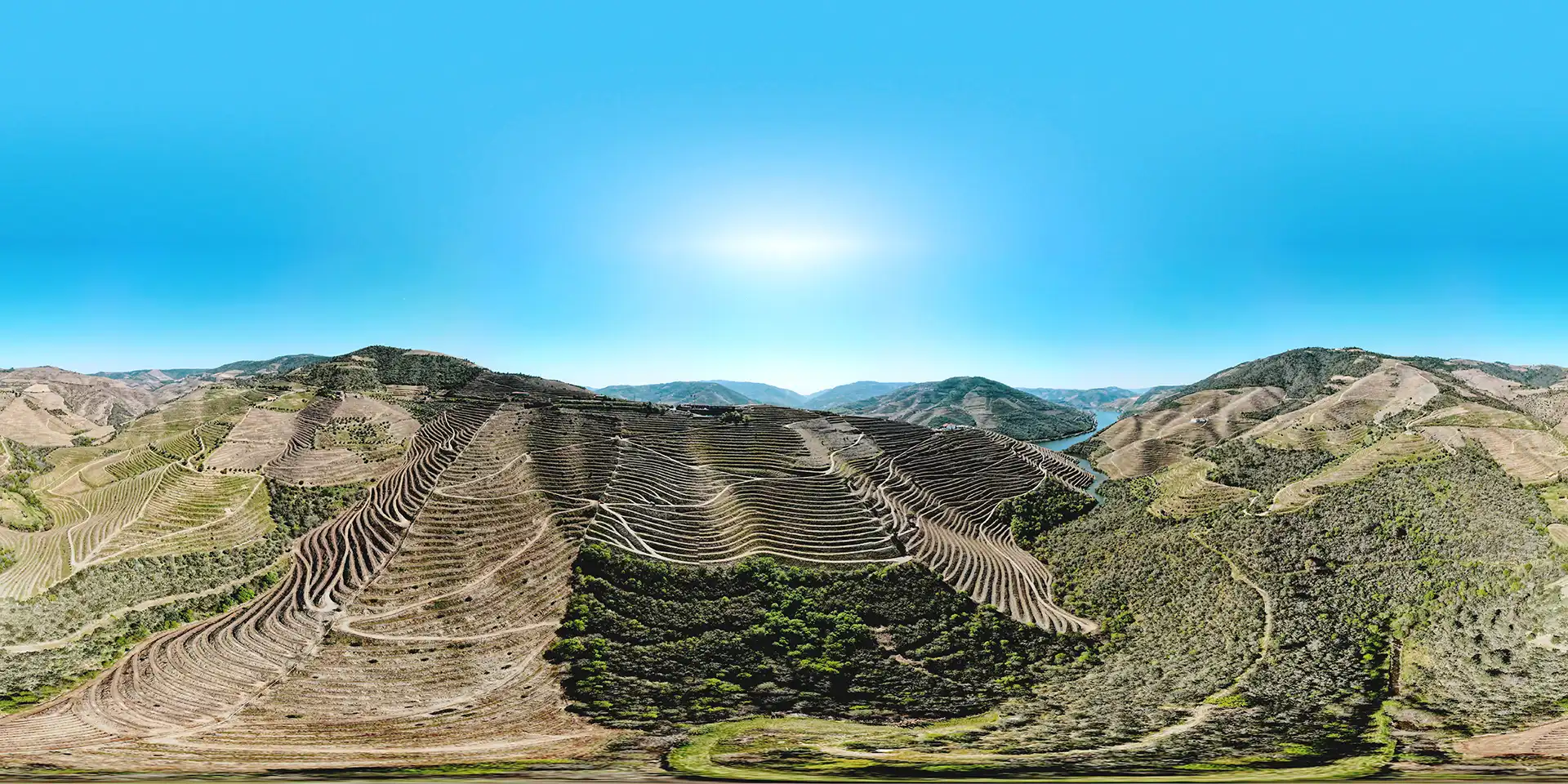 Adega Menin Douro Estates