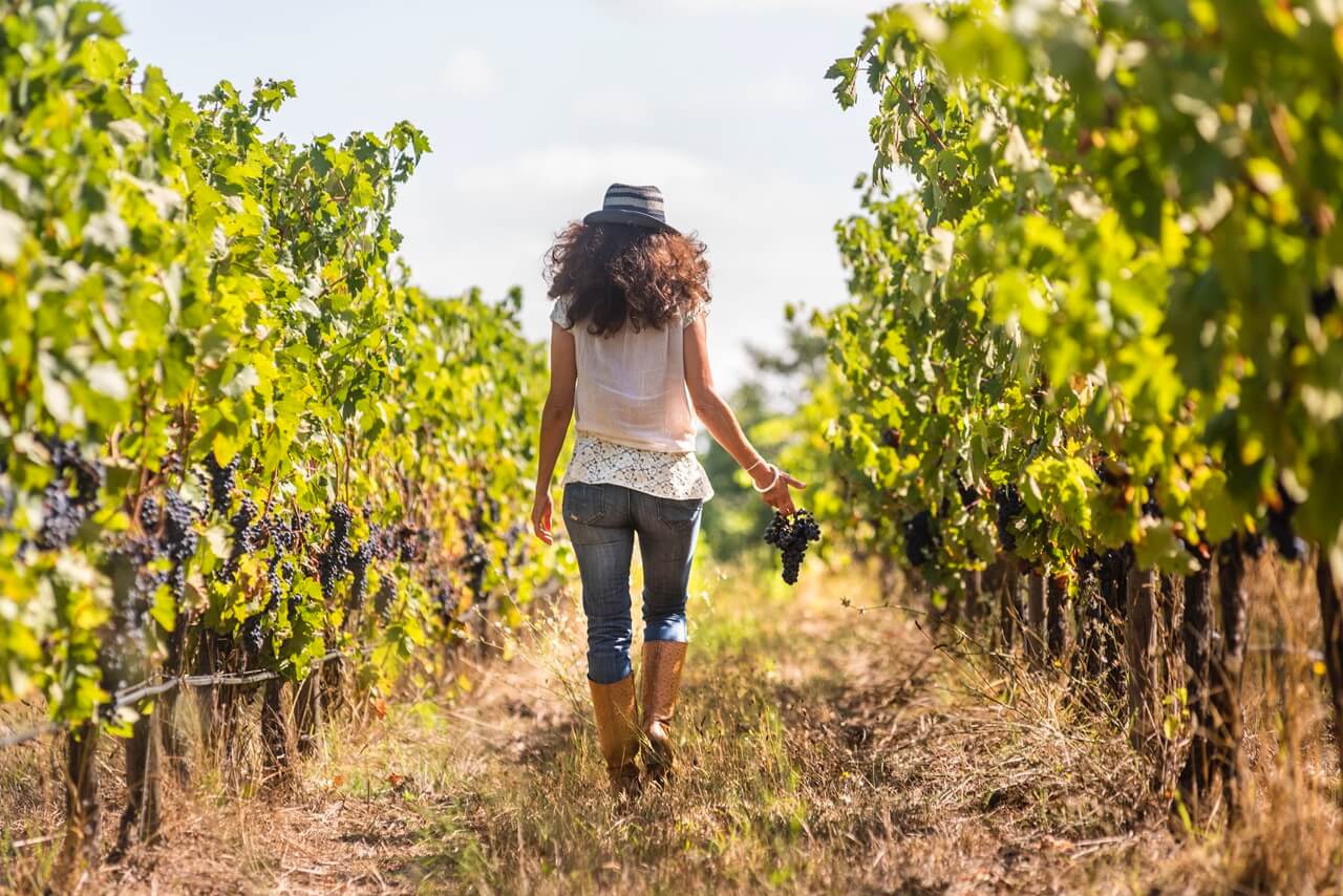 Julia Kemper Wines, S.A.