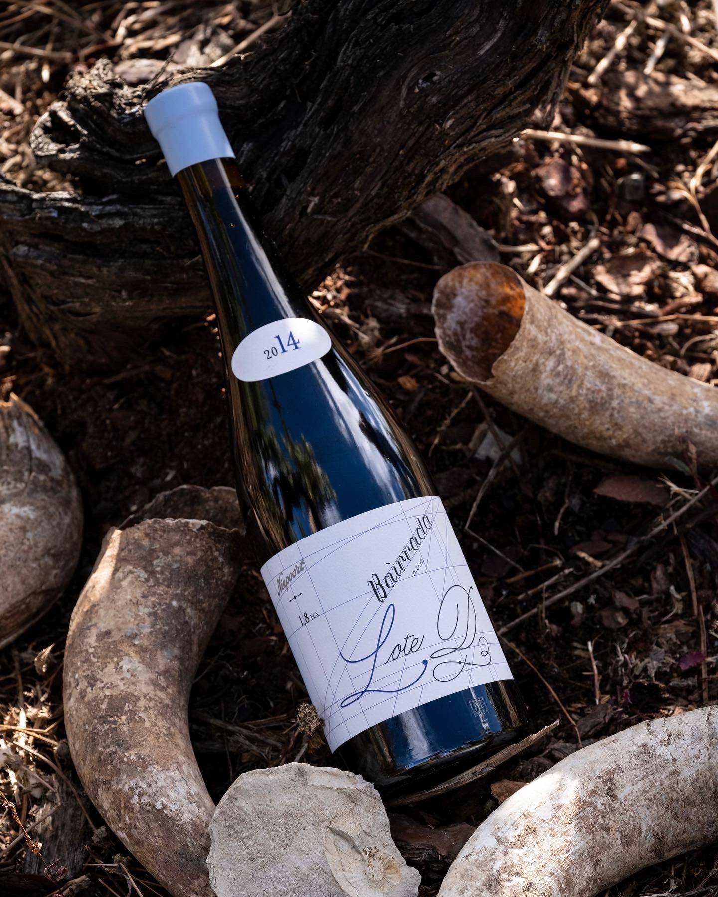 Quinta de Baixo - Vinhos da Bairrada, Lda
