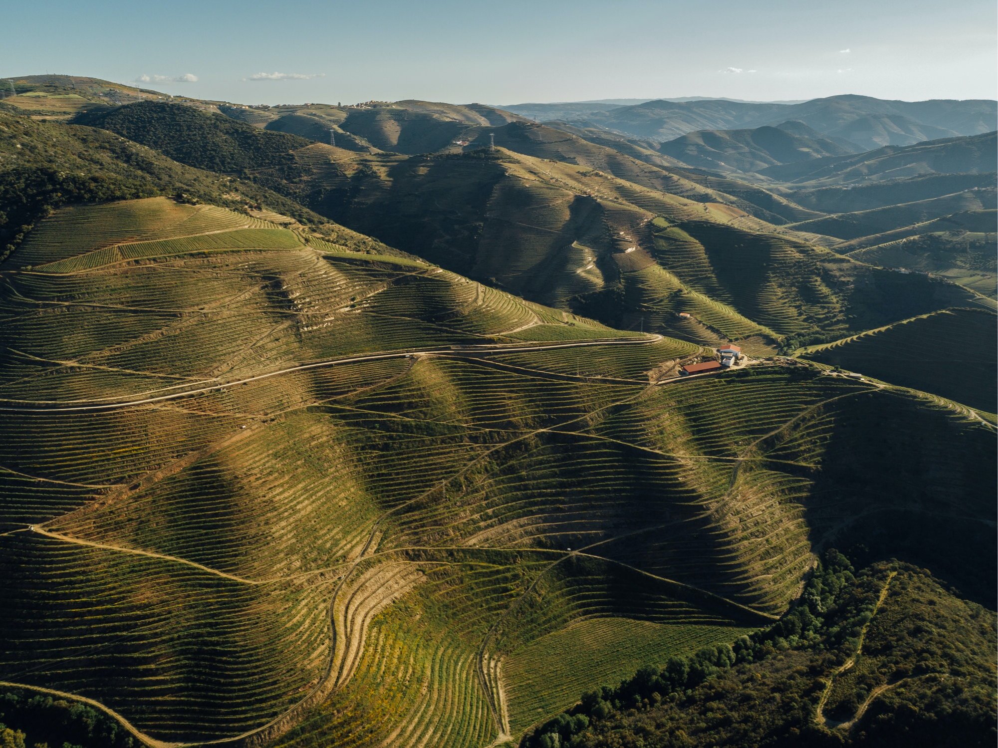 Sociedade dos Vinhos Borges, S.A.