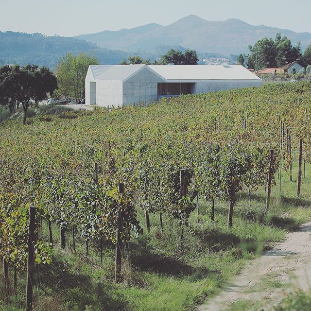 Aphros Wine